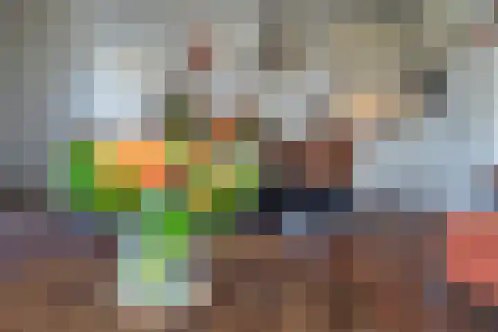 Maarweg 30 Uithuizen thumbnail 11