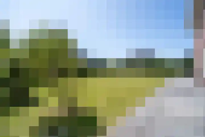 Maarweg 30 Uithuizen thumbnail 39