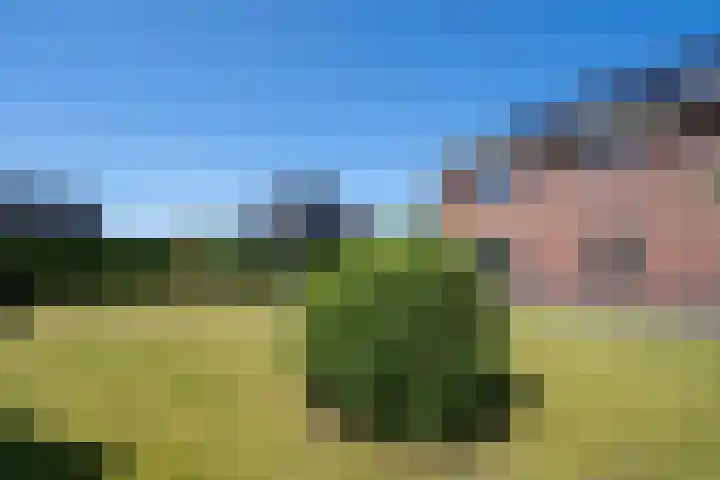Maarweg 30 Uithuizen thumbnail 45