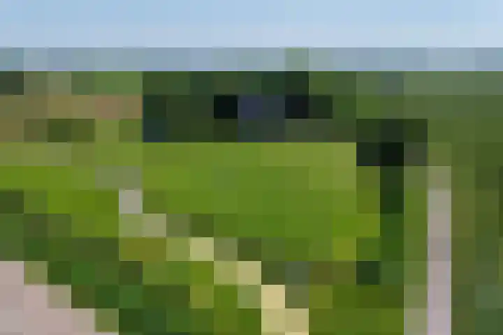 Maarweg 30 Uithuizen thumbnail 52