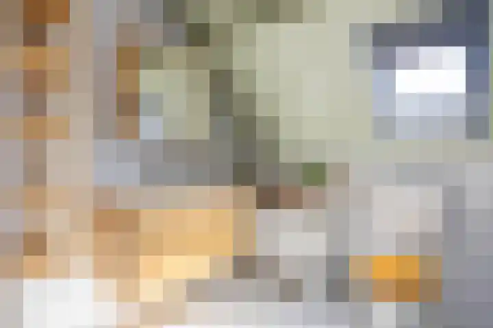 Maarweg 7 Baflo thumbnail 27