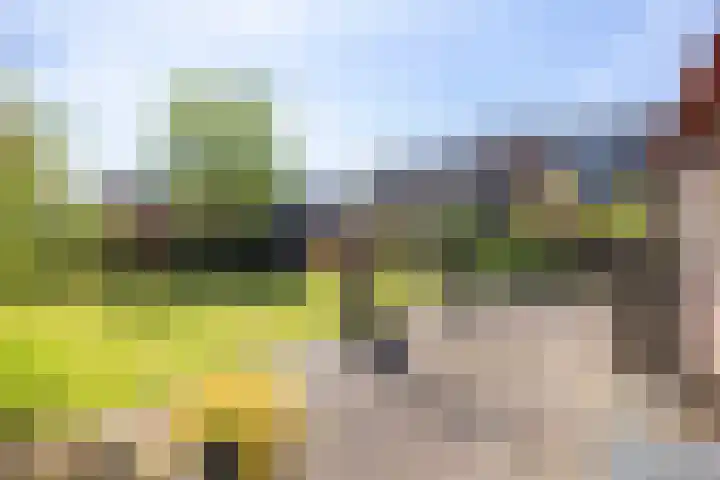Maarweg 7 Baflo thumbnail 35