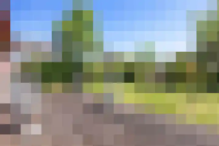 Maarweg 7 Baflo thumbnail 7