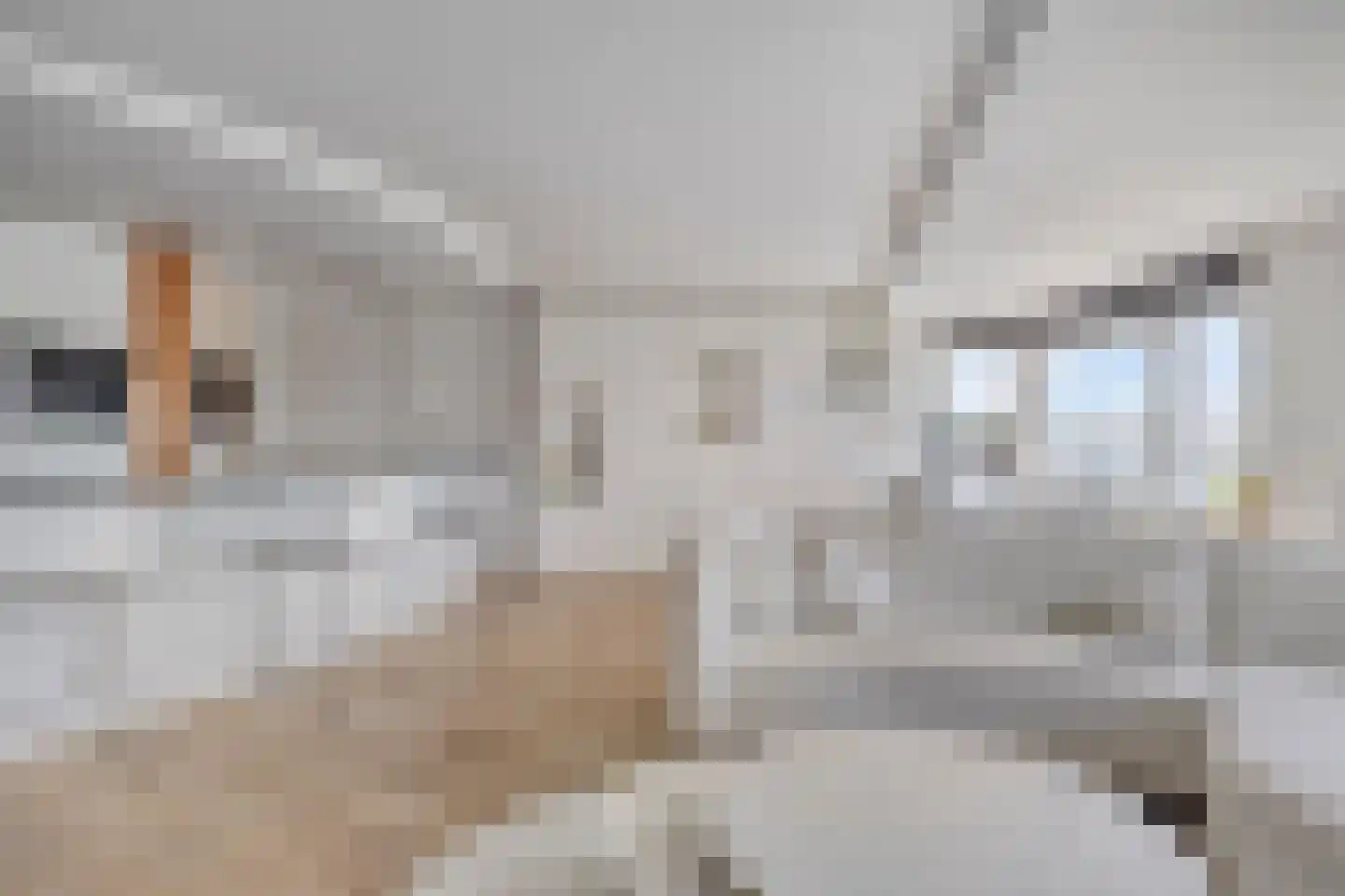 Maasboulevard 206 Rotterdam thumbnail 17