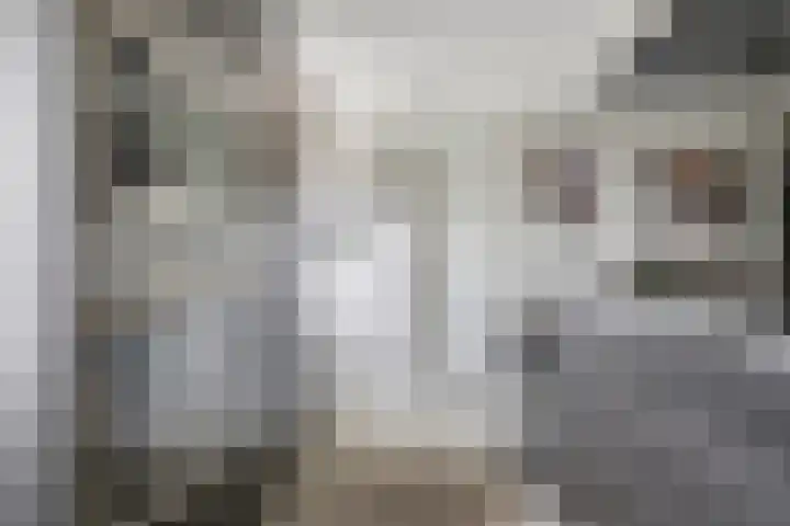 Maasboulevard 7 Spijkenisse thumbnail 17
