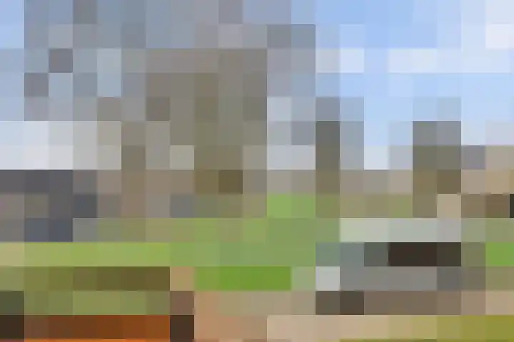 Maasboulevard 7 Spijkenisse thumbnail 29