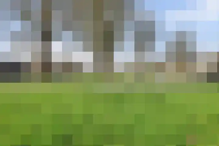 Maasboulevard 7 Spijkenisse thumbnail 43