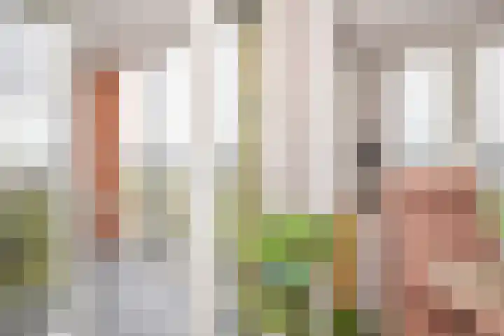 Maasboulevard 81 's-Hertogenbosch thumbnail 12