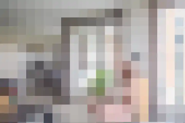 Maasboulevard 81 's-Hertogenbosch thumbnail 14