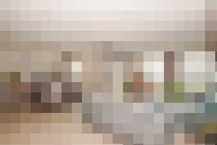 Maasboulevard 81 's-Hertogenbosch thumbnail 8
