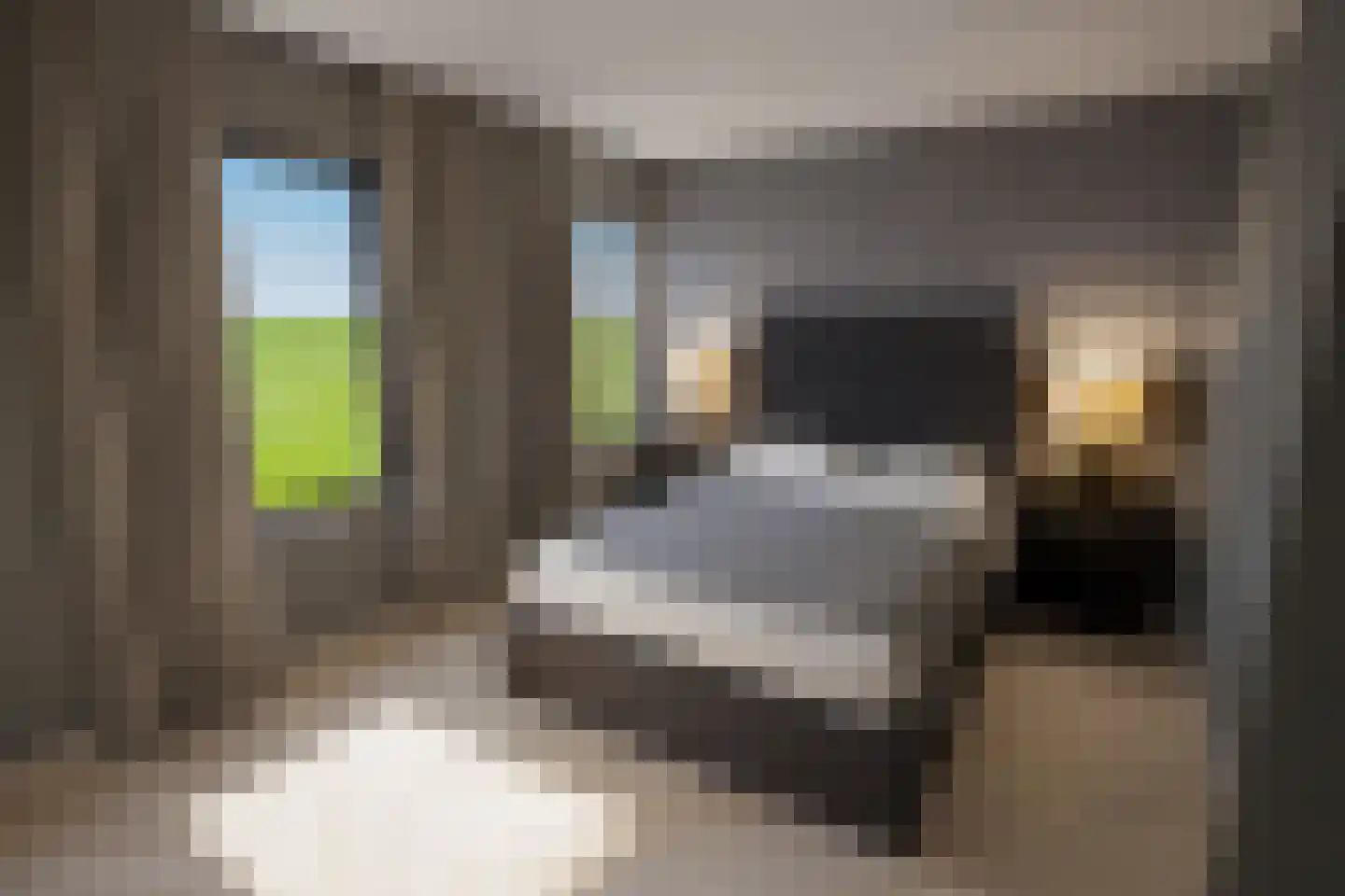 Maasbrachterweg Echt thumbnail 10