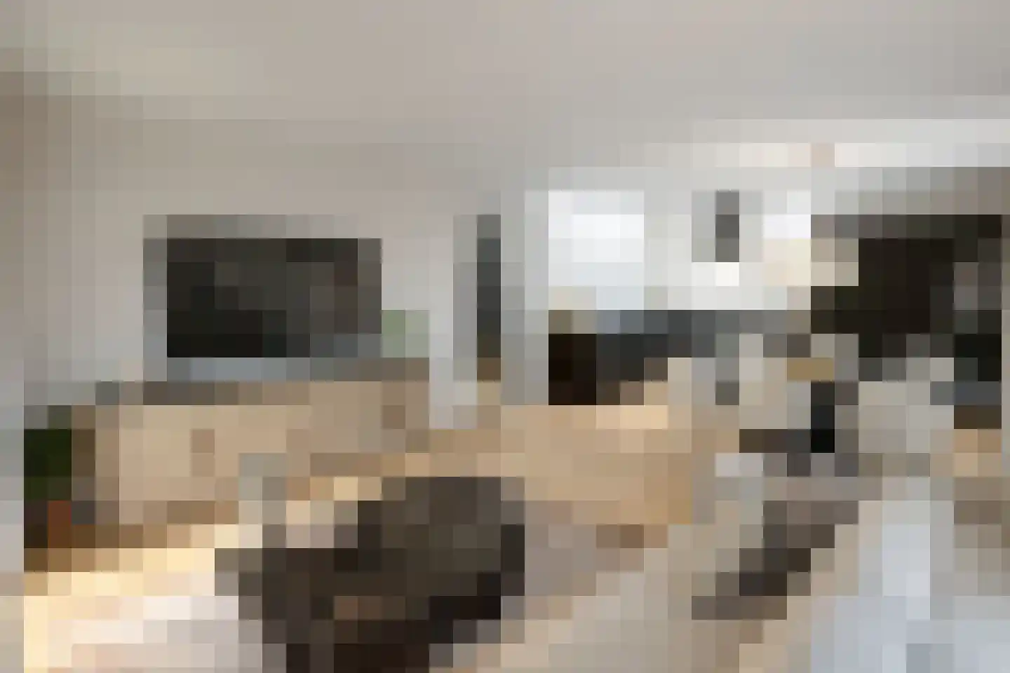 Maasbrachterweg Echt thumbnail 10