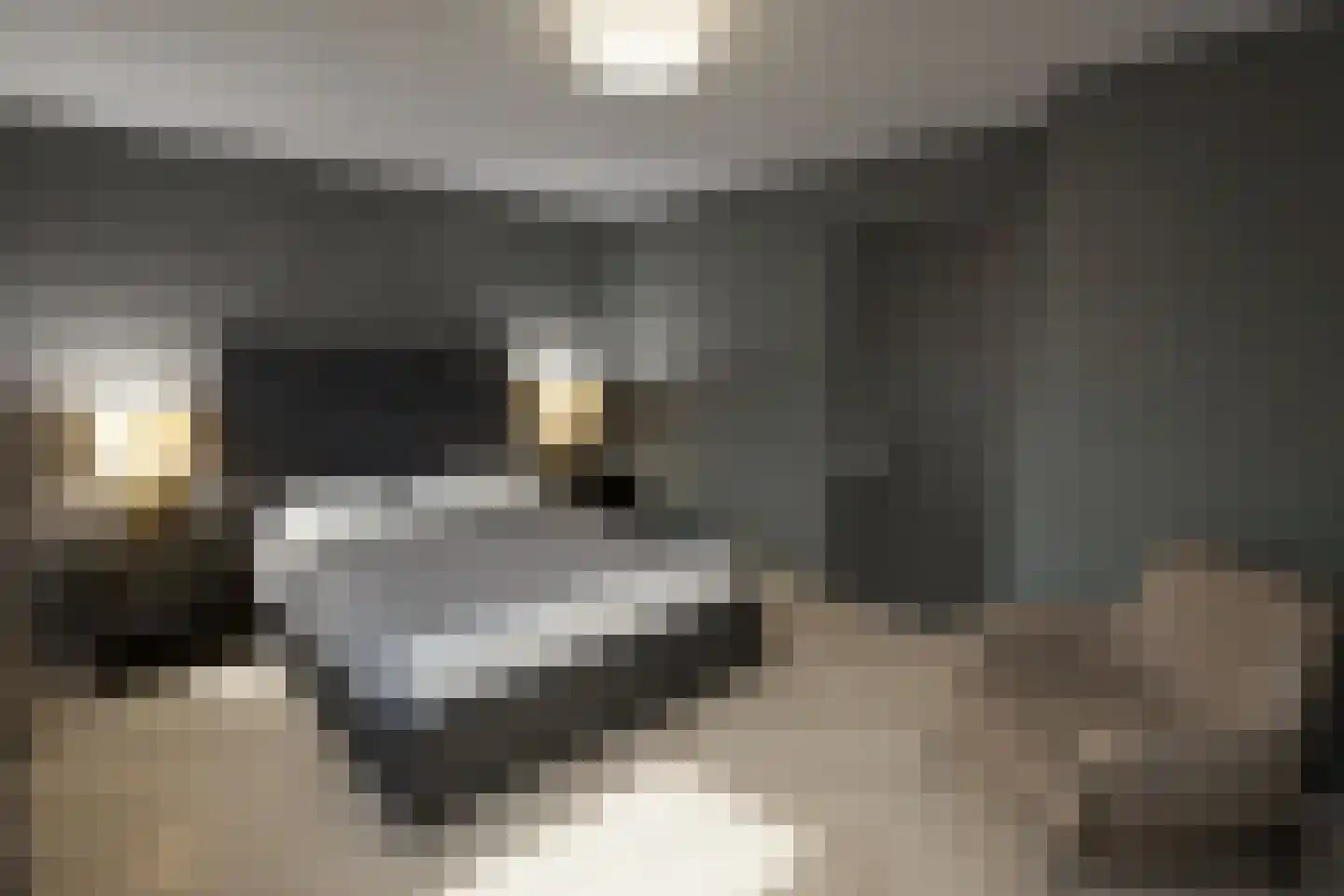 Maasbrachterweg Echt thumbnail 11