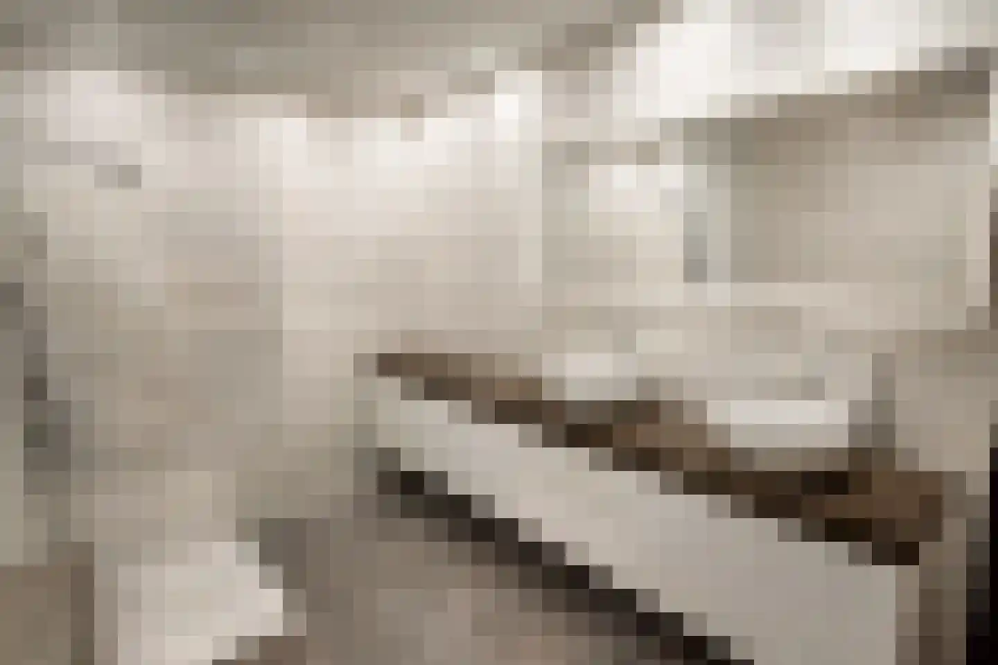Maasbrachterweg Echt thumbnail 11
