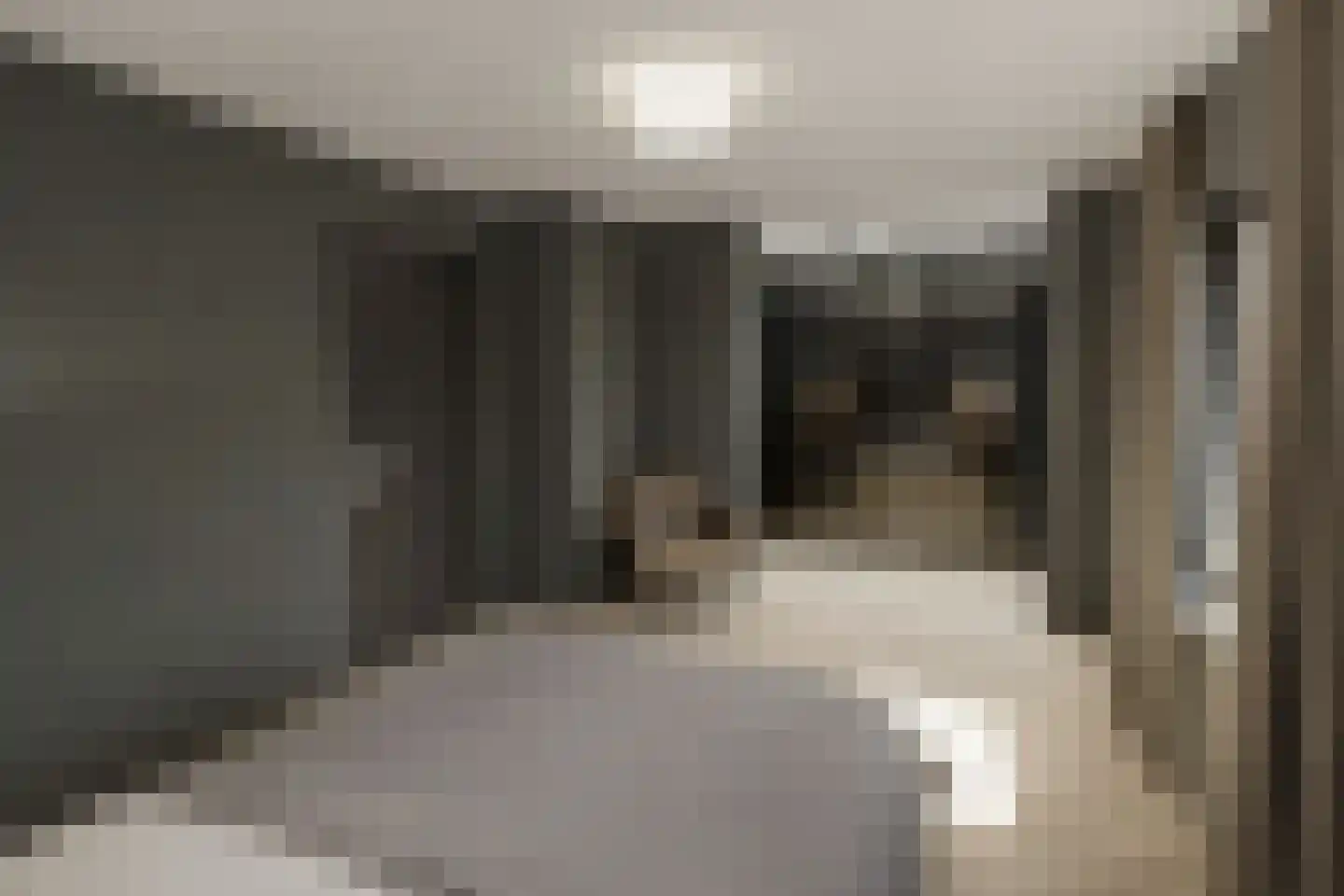 Maasbrachterweg Echt thumbnail 12