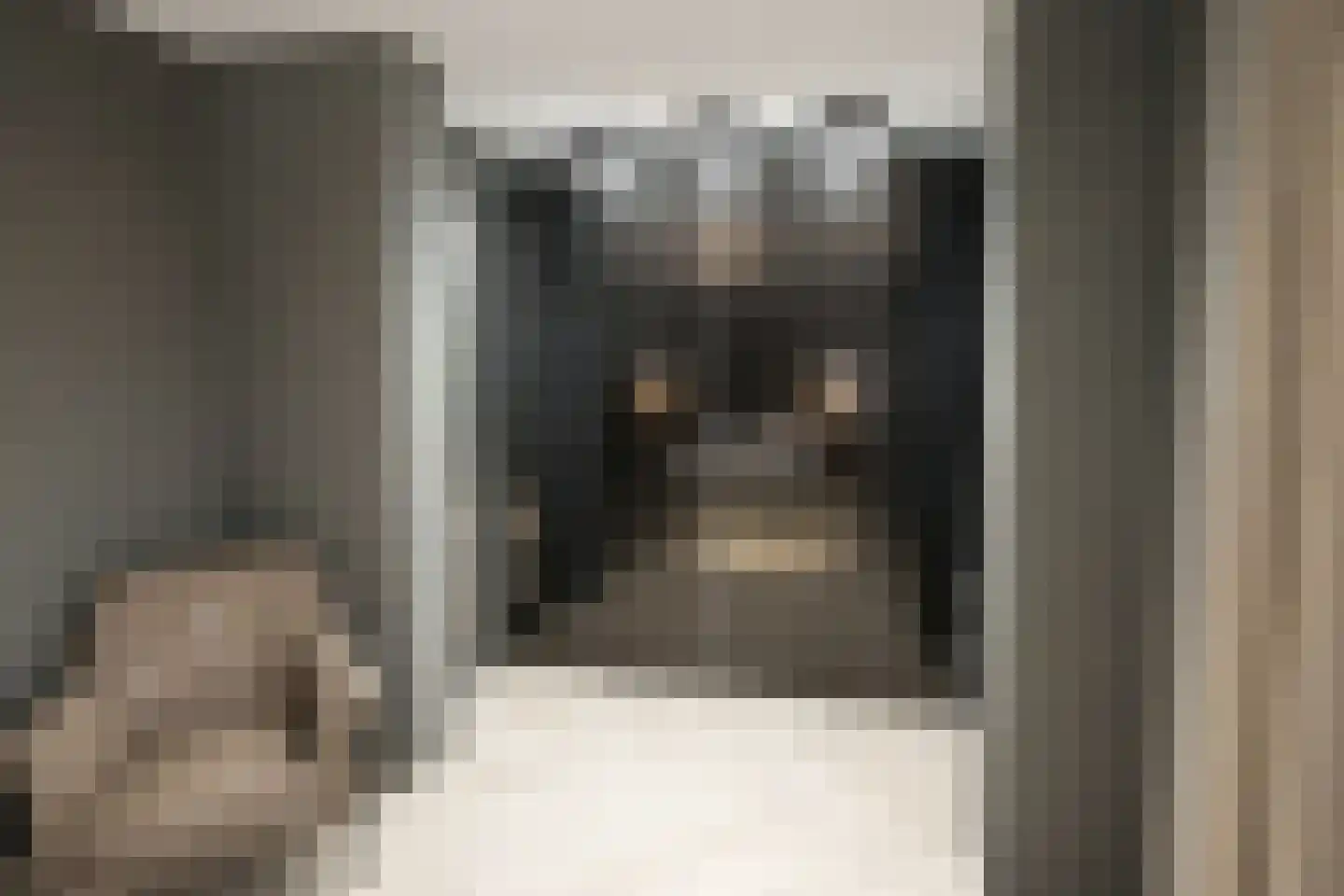 Maasbrachterweg Echt thumbnail 13