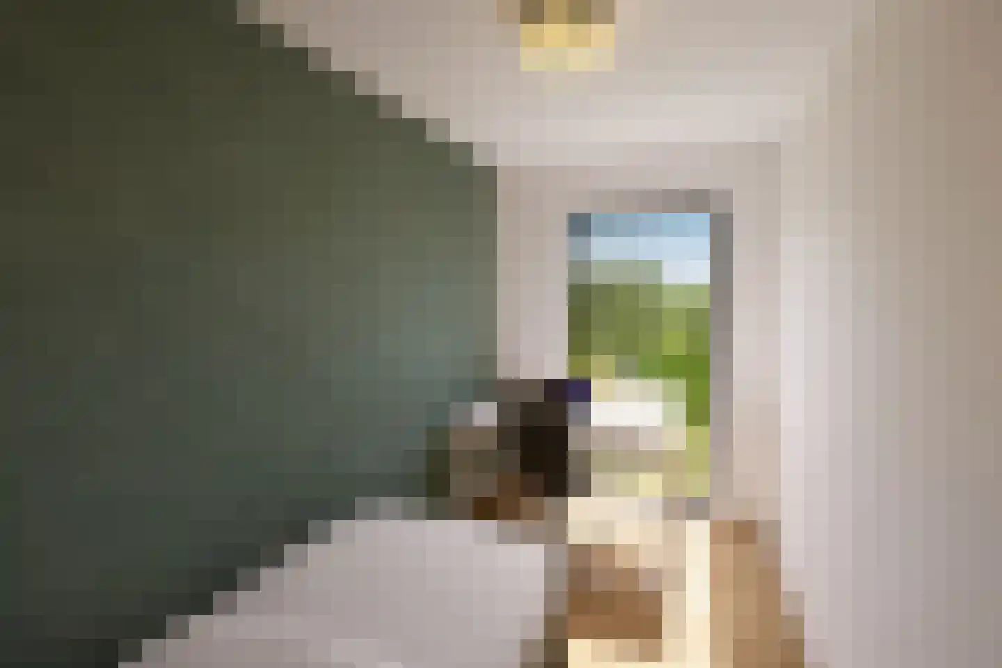 Maasbrachterweg Echt thumbnail 13