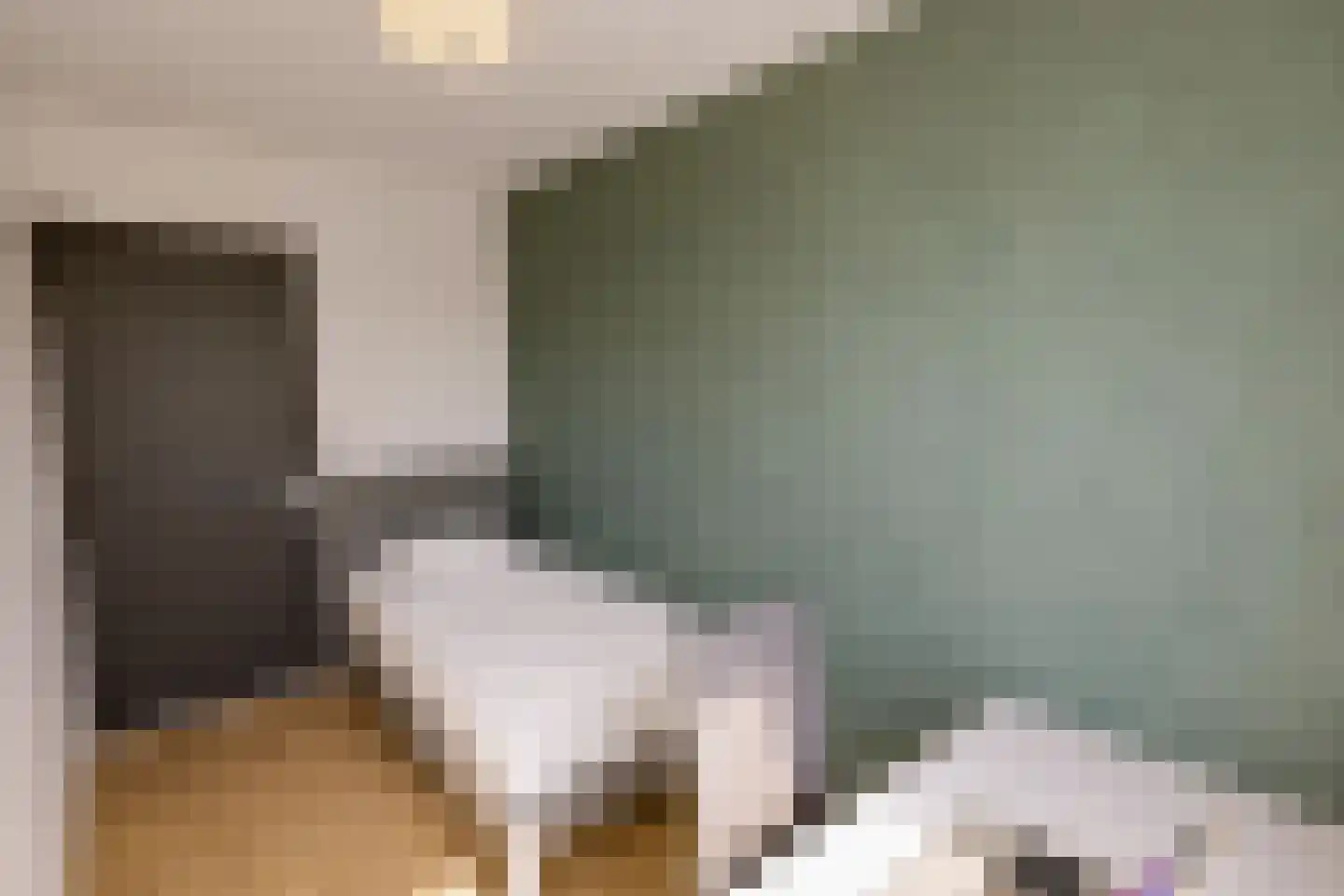 Maasbrachterweg Echt thumbnail 14