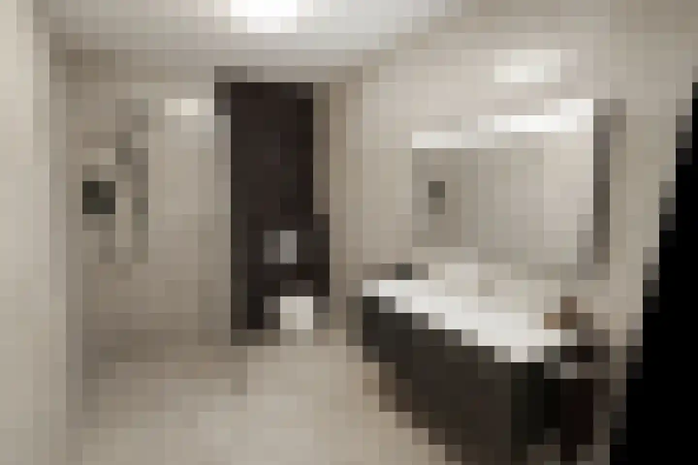 Maasbrachterweg Echt thumbnail 14