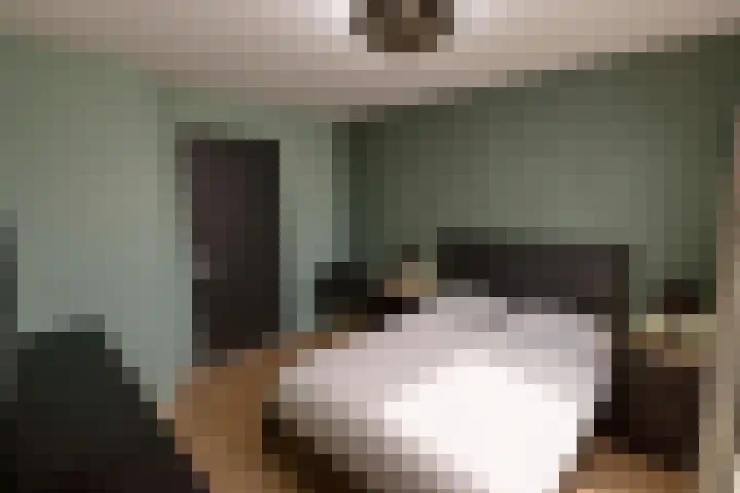 Maasbrachterweg Echt thumbnail 15