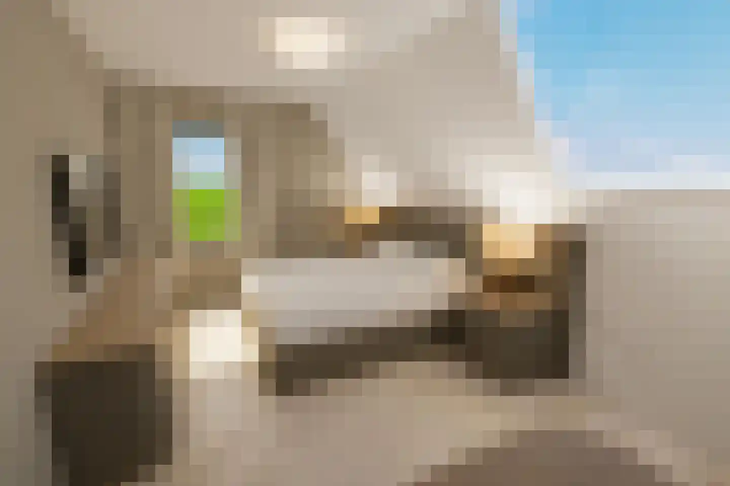 Maasbrachterweg Echt thumbnail 16
