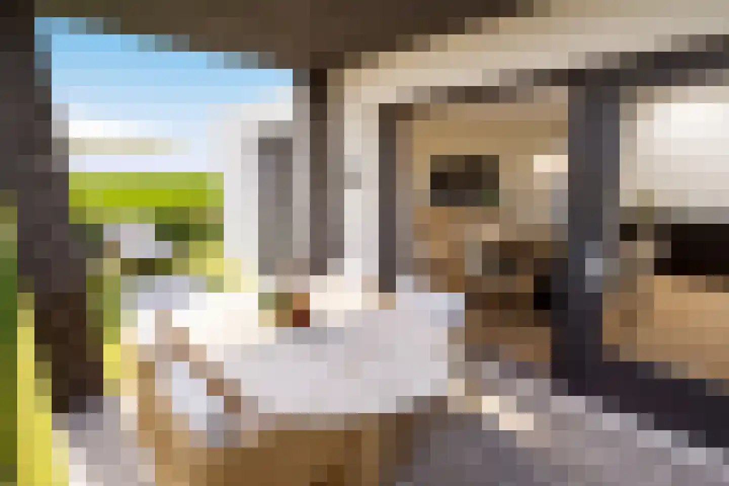 Maasbrachterweg Echt thumbnail 17