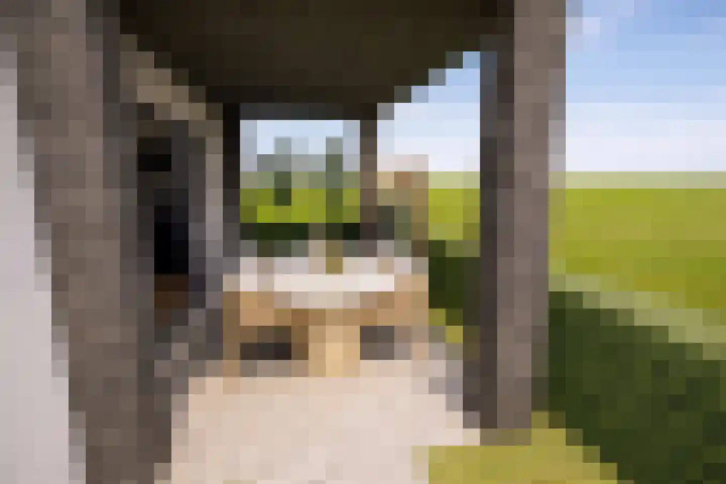 Maasbrachterweg Echt thumbnail 18