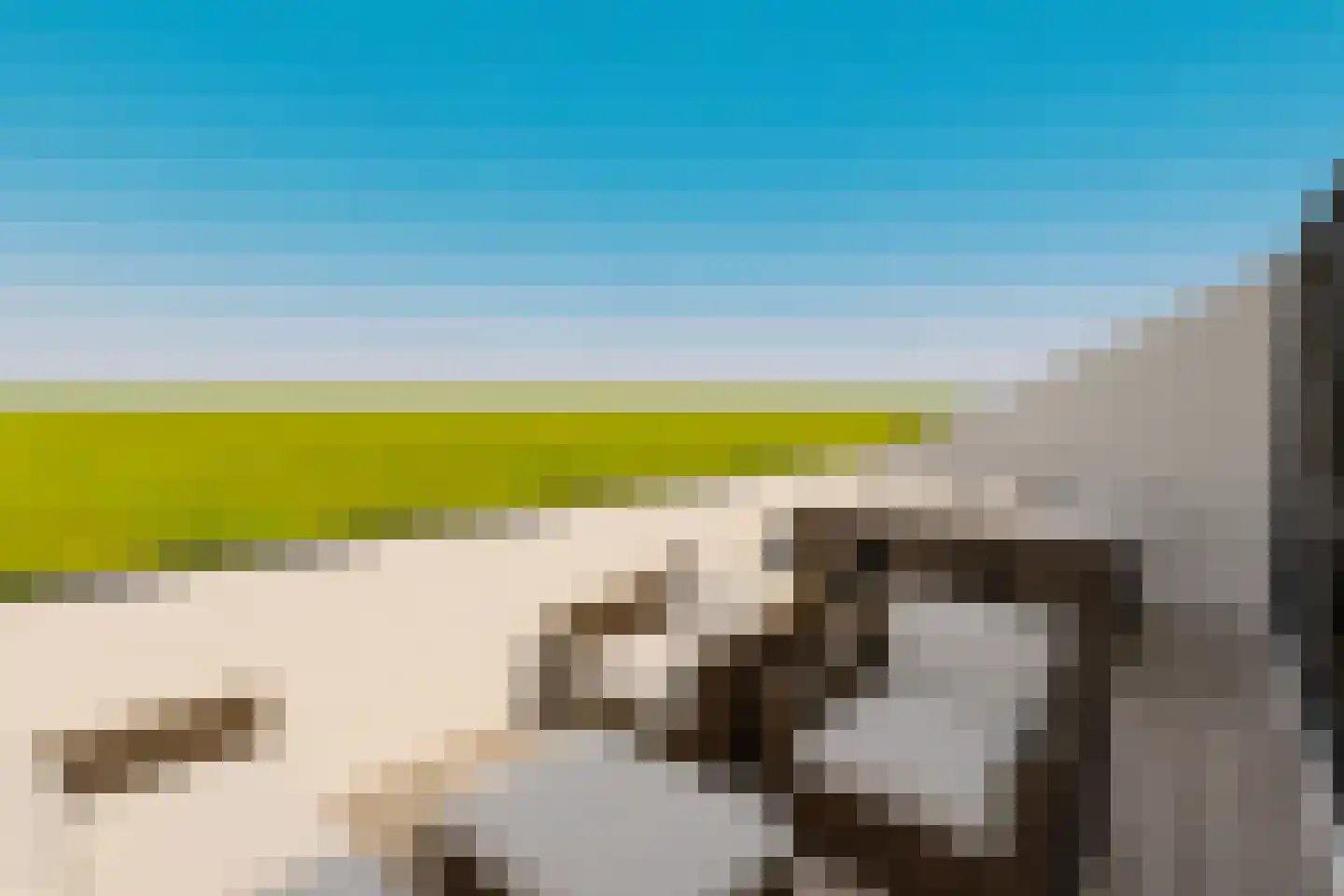 Maasbrachterweg Echt thumbnail 19