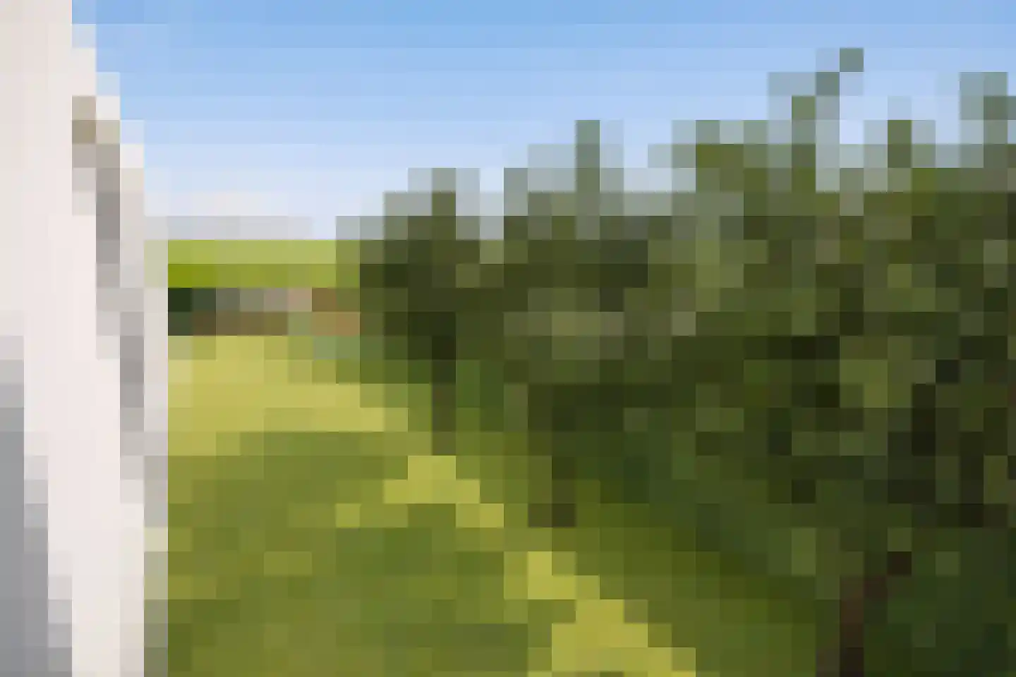 Maasbrachterweg Echt thumbnail 20