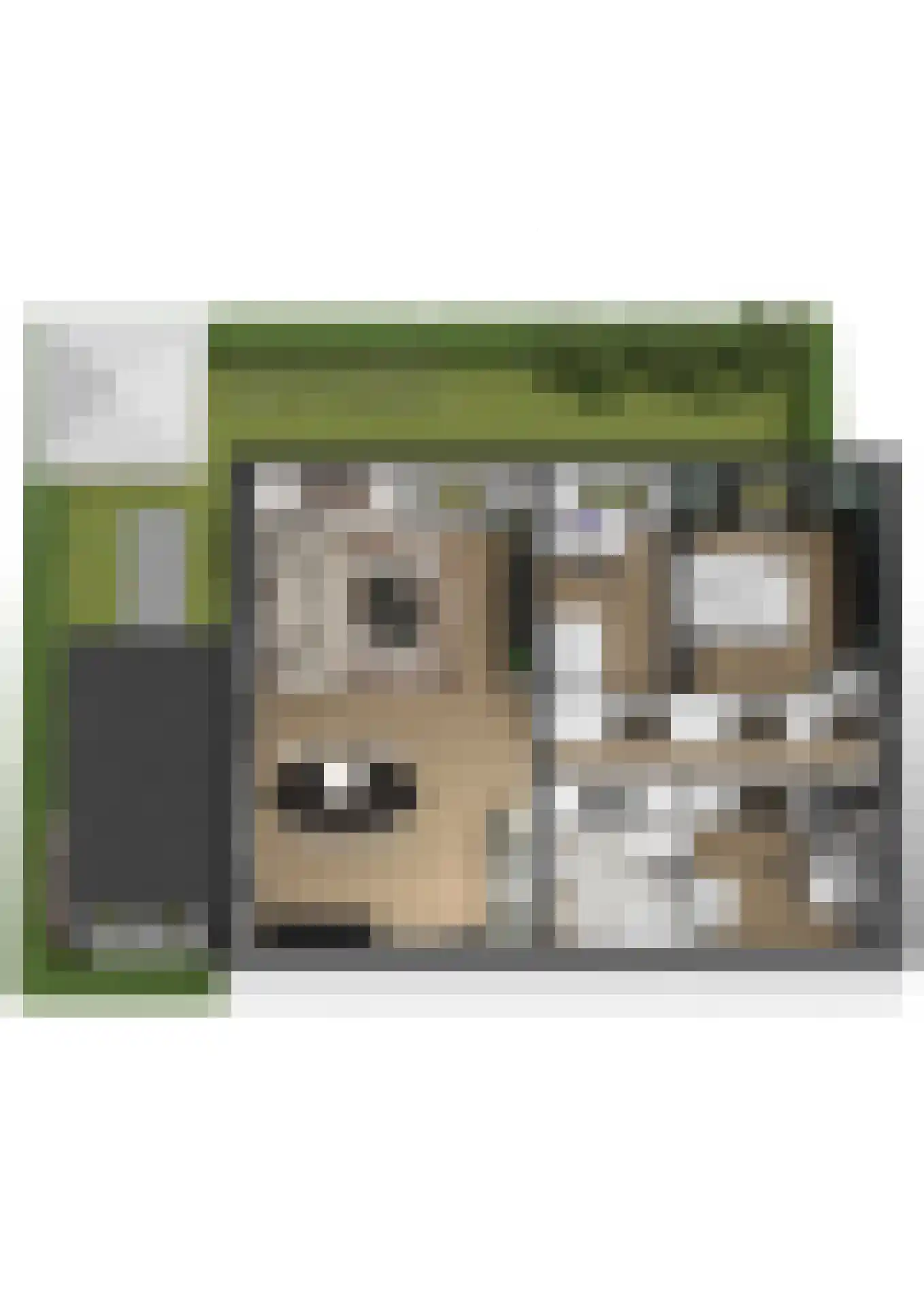Maasbrachterweg Echt thumbnail 22