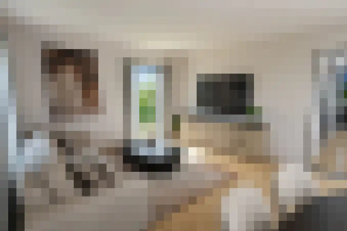 Maasbrachterweg Echt thumbnail 6