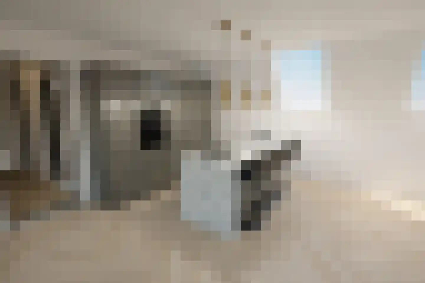 Maasbrachterweg Echt thumbnail 7