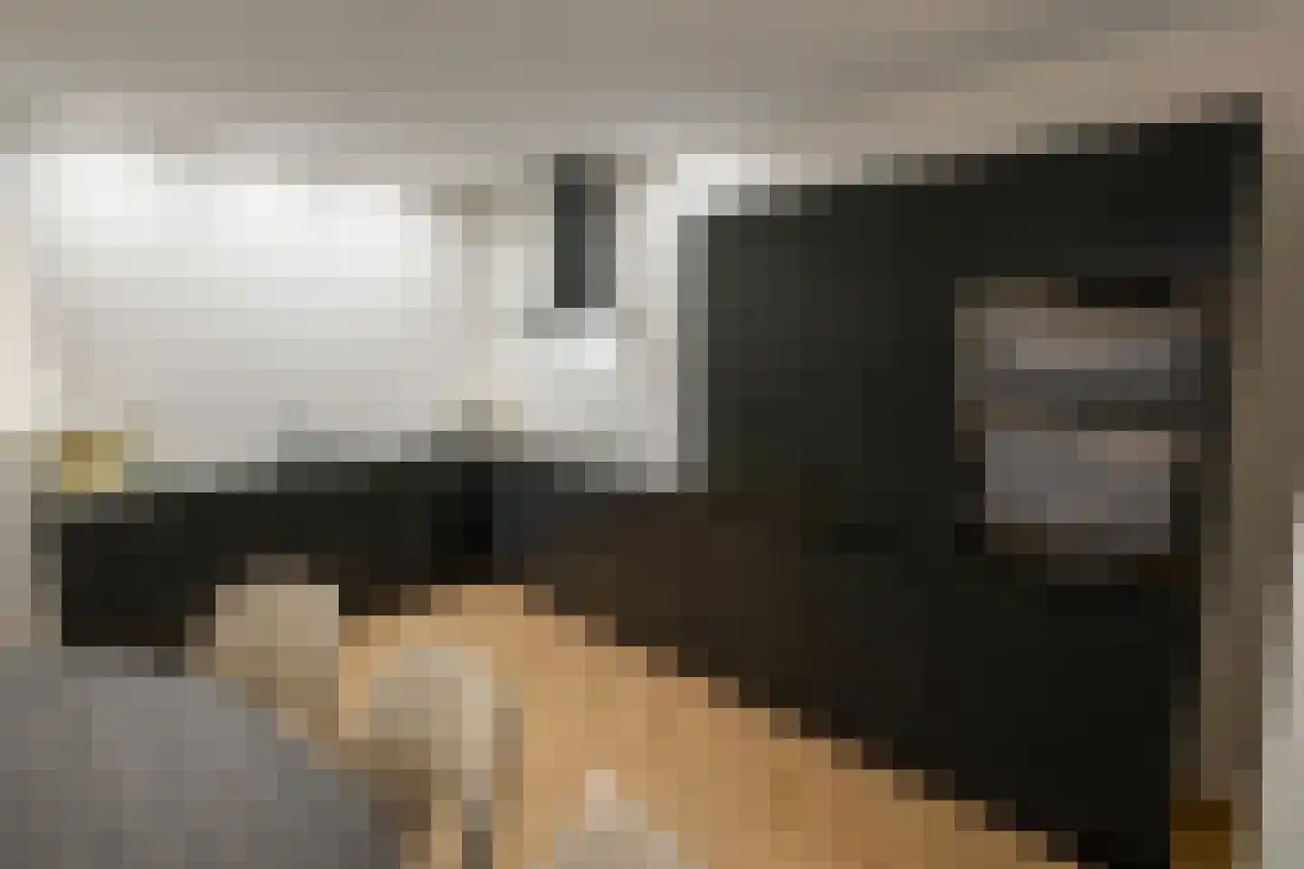 Maasbrachterweg Echt thumbnail 8