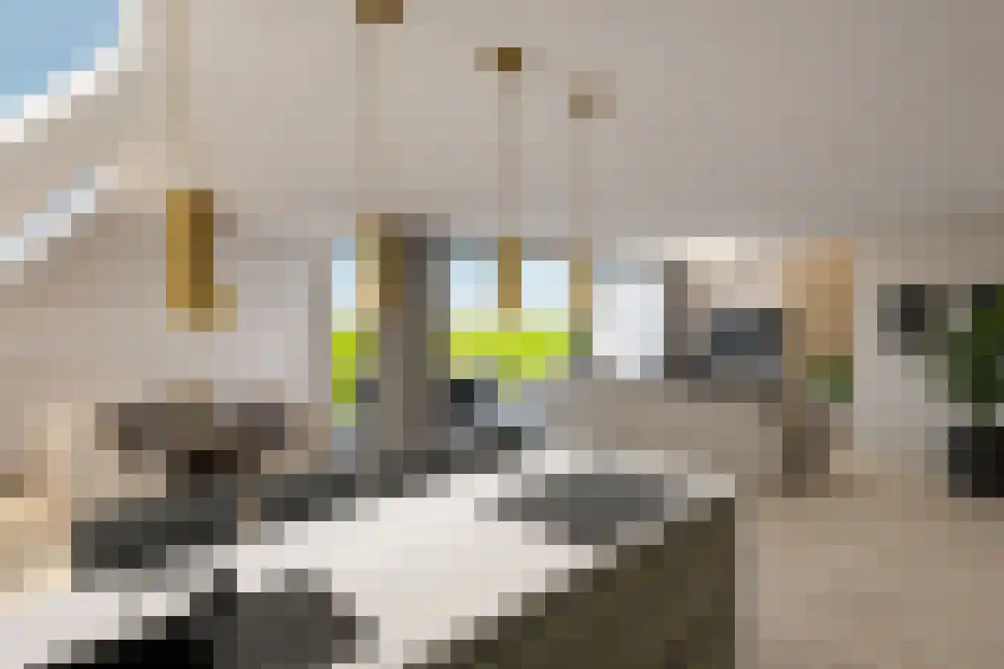 Maasbrachterweg Echt thumbnail 8