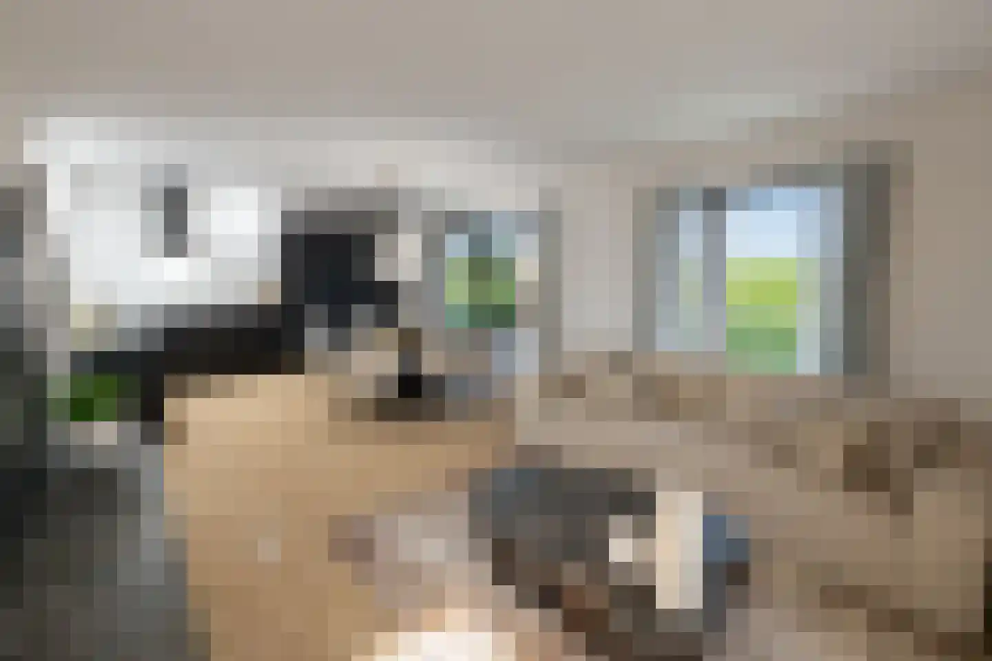 Maasbrachterweg Echt thumbnail 9