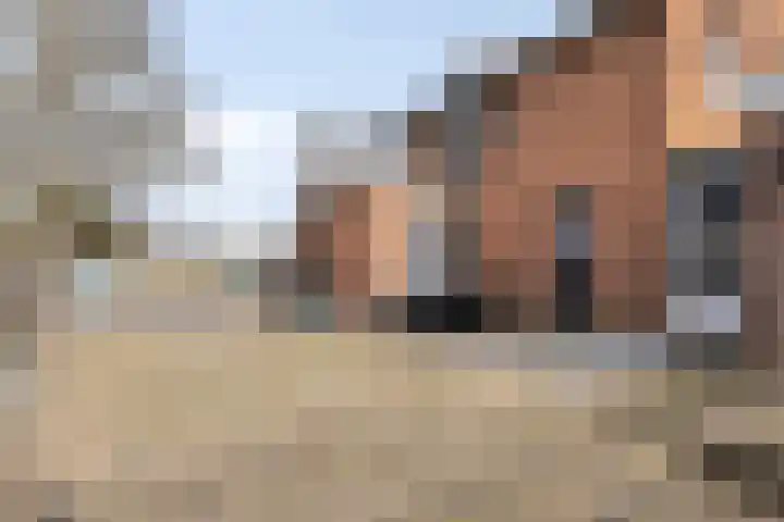 Maasdijk 11 Hedel thumbnail 11