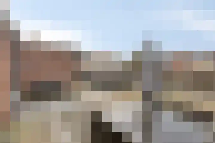 Maasdijk 11 Hedel thumbnail 12