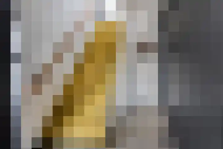 Maasdijk 11 Hedel thumbnail 16