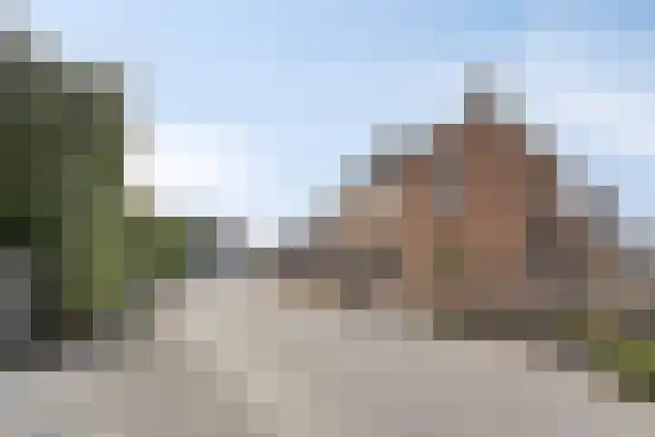 Maasdijk 11 Hedel thumbnail 27
