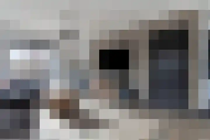 Maasdijk 11 Hedel thumbnail 4