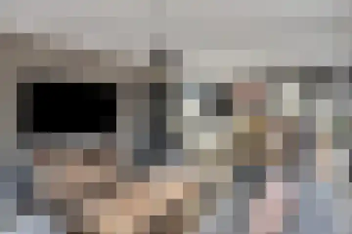 Maasdijk 11 Hedel thumbnail 5