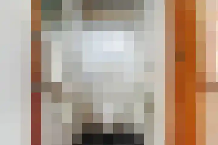 Maasdijk 123 Maasdijk thumbnail 17