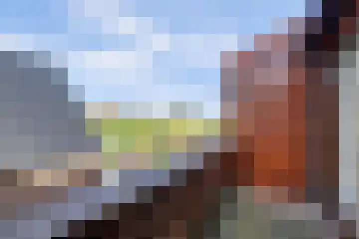 Maasdijk 123 Maasdijk thumbnail 27