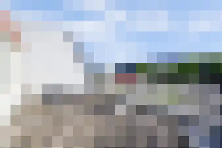 Maasdijk 123 Maasdijk thumbnail 28