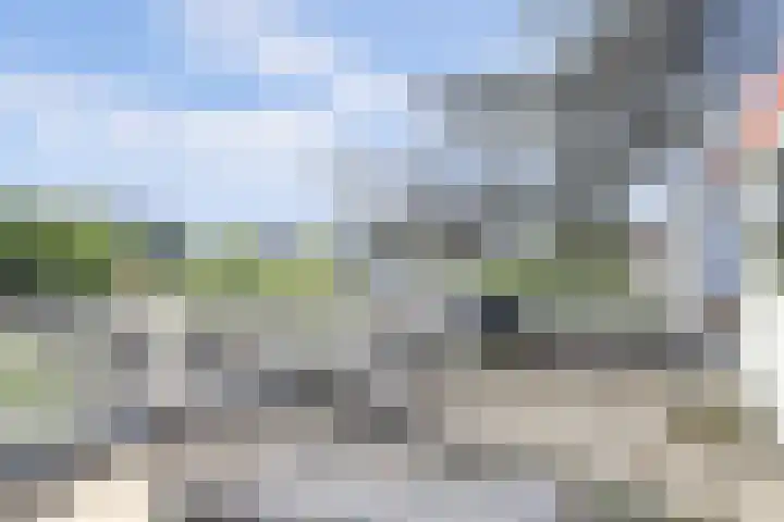 Maasdijk 123 Maasdijk thumbnail 29