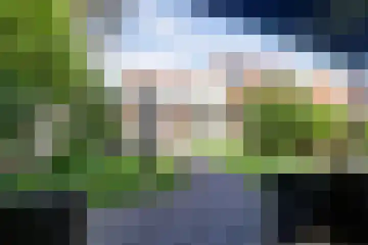 Maasdijk 123 Maasdijk thumbnail 31