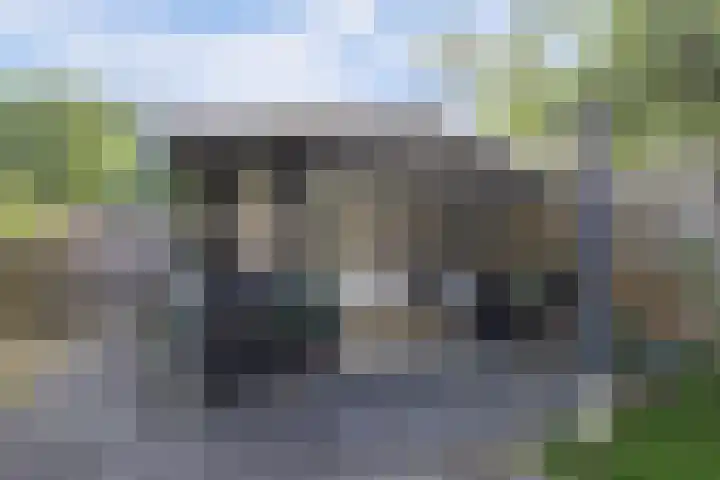 Maasdijk 123 Maasdijk thumbnail 32