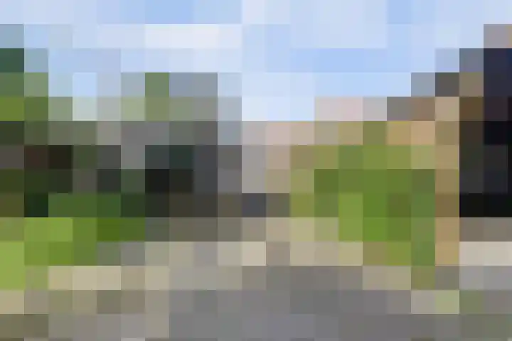 Maasdijk 123 Maasdijk thumbnail 34