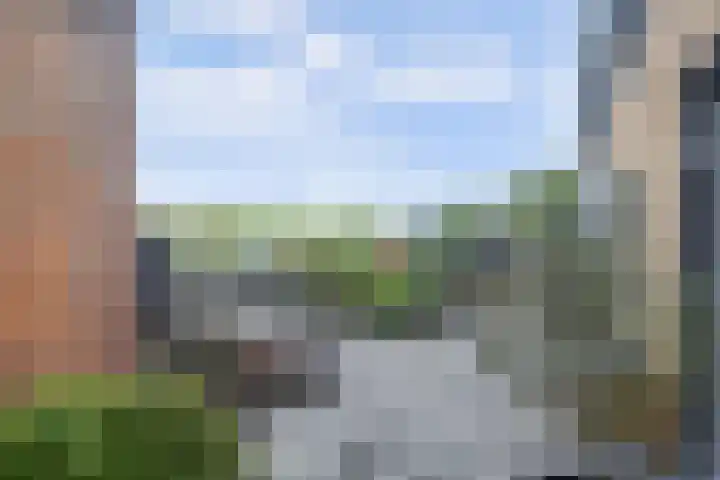Maasdijk 123 Maasdijk thumbnail 37