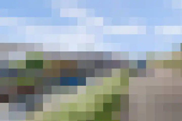Maasdijk 123 Maasdijk thumbnail 38